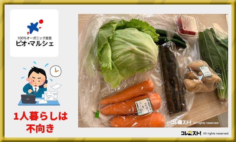 食材宅配 ビオマルシェ 一人暮らし向かない