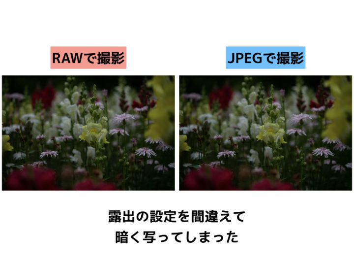 raw 撮影 安い カメラ