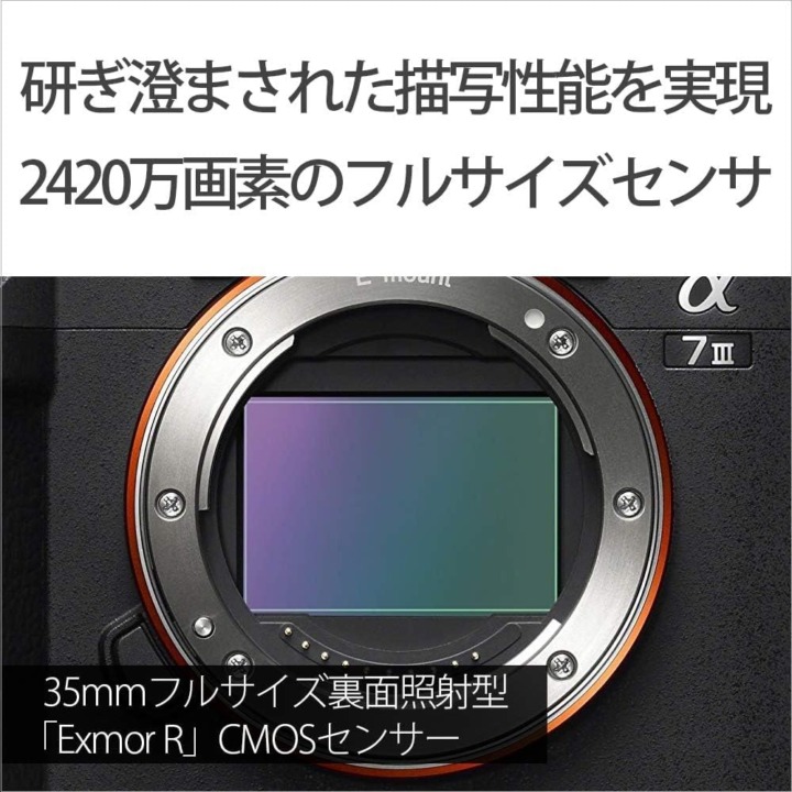 ソニー センサーサイズ