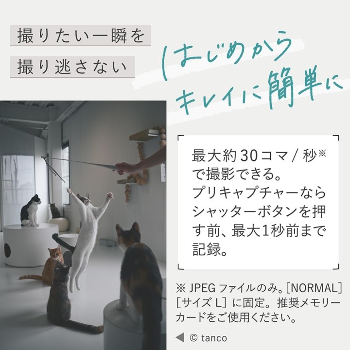 ニコンのミラーレスカメラ 連写速度