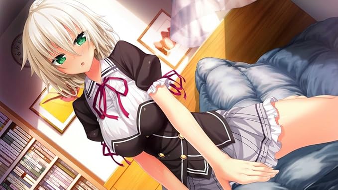 PCソフトにはアダルト描写が含まれるケースもあるので要注意