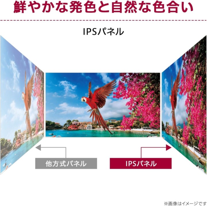 デュアルモニター IPS
