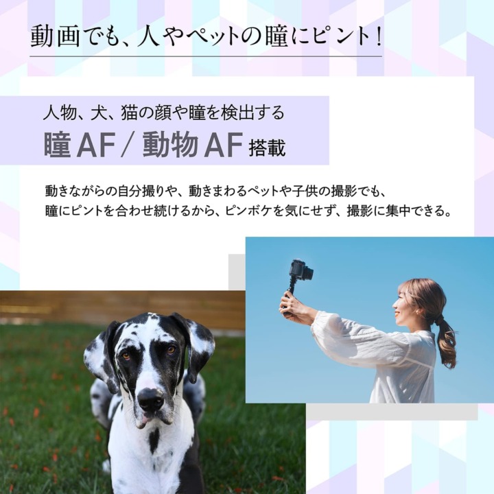 ニコンのミラーレスカメラ オートフォーカス