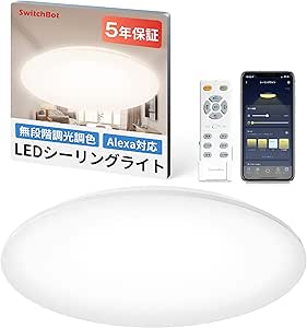 声でオンオフできて消し忘れの心配もない「スマートライト」