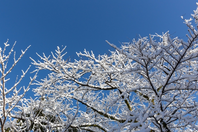 冬の乾燥対策には、静電気とパサつきのケアを重視
