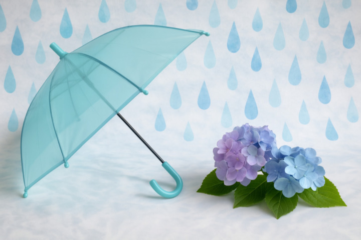 梅雨の広がり対策には、湿気ブロックの下地作りを意識