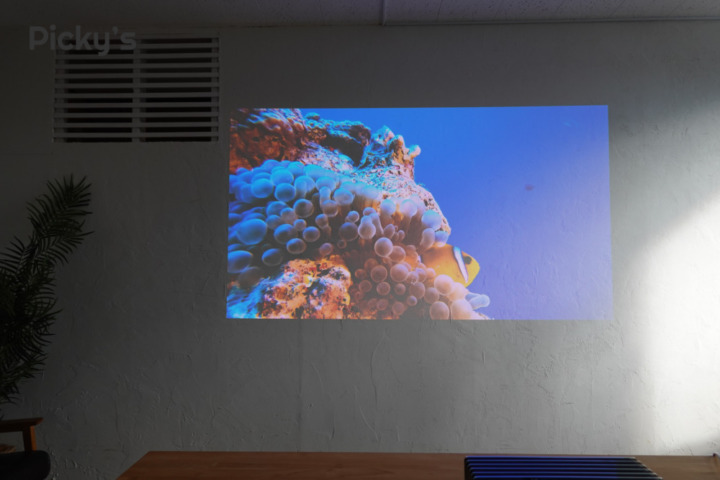 圧倒的な色再現力！110% REC 2020の広色域で鮮やかかつ自然